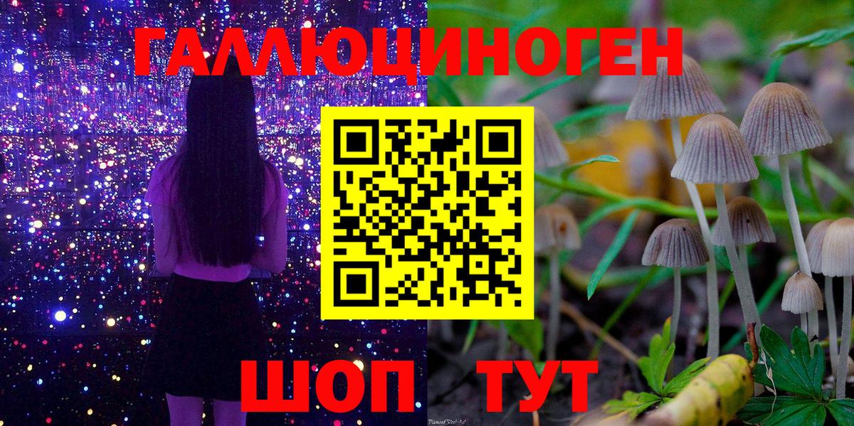 где купить   Вход с VPN  Боровичи  Псилоцибиновые грибы прущие грибы 